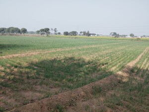  Land For Sale in Pataudi