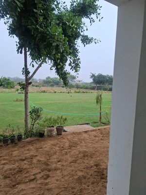 Plot Area in  Land at Pataudi – for Sale