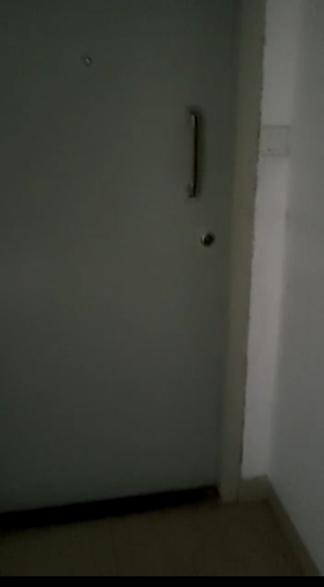 1 BHK Apartment For Rent in Suyog CHS Tilak Nagar