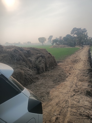  Land For Sale in SRS Palm Homes, Palwal