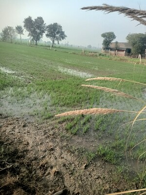 Plot Area in  Land at SRS Palm Homes, Palwal – for Sale