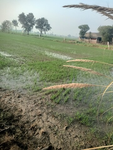 Plot Area in  Land at SRS Palm Homes, Palwal – for Sale