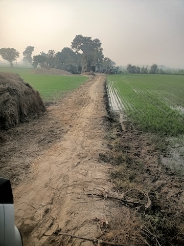 Plot Area in  Land at SRS Palm Homes, Palwal – for Sale