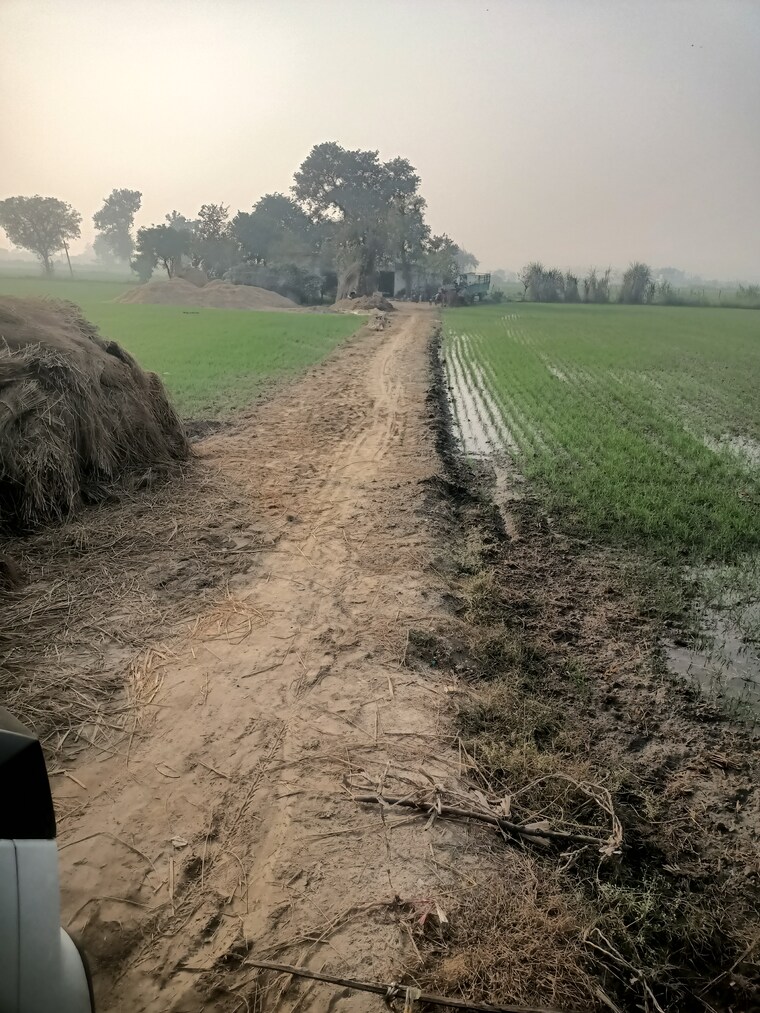 undefined, srs-palm-homes Commercial Land 60 Acre In Palwal Faridabad 9657277