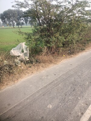 Plot Area in  Land at SRS Palm Homes, Palwal – for Sale