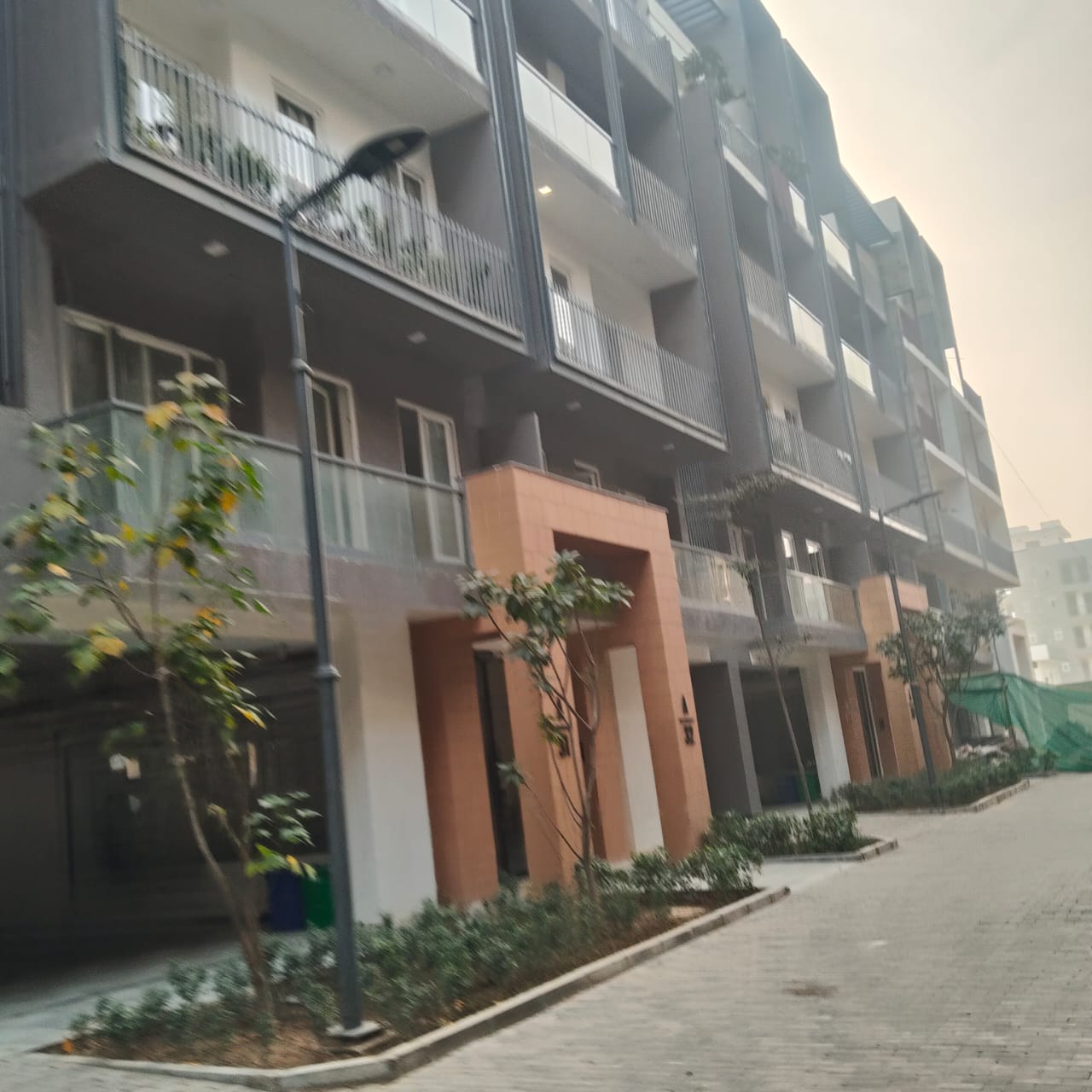 3 BHK Apartment For Rent in Smart World Orchard