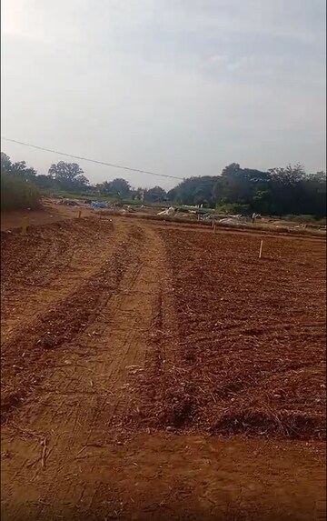  Plot For Sale in Gajwel