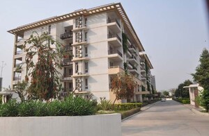 4 BHK Apartment – Exterior View View at Jaypee Augusta Town Homes, Sector 128 - for Rent