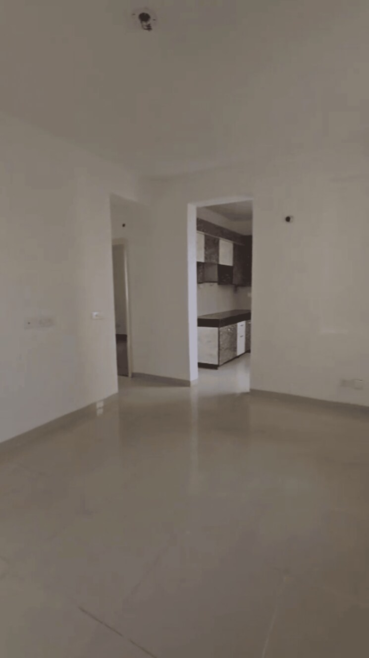 Room, wave-executive-floors 2 Bedroom 900 Sq.Ft. Apartment In Wave City Ghaziabad 9658154