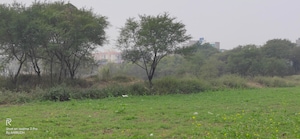  Plot For Sale in Patna - Gaya Road