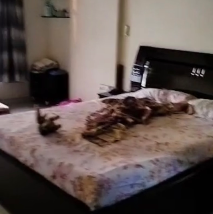 Bedroom, mazgaon 3 Bedroom 1300 Sq.Ft. Apartment In Mazgaon Mumbai 9659001