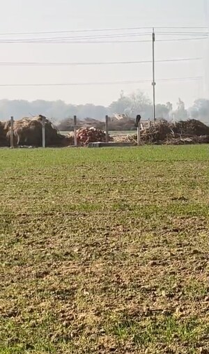  Plot For Sale in Dlf Ankur Vihar