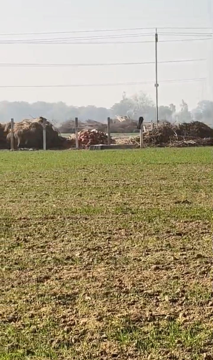 Plot For Sale in Dlf Ankur Vihar