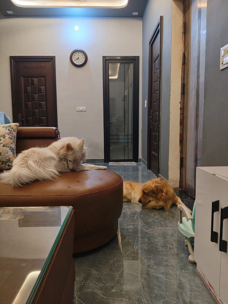 undefined, laxmi nagar 3 Bedroom 1065 Sq.Ft. Builder Floor In Laxmi Nagar Delhi 9659185