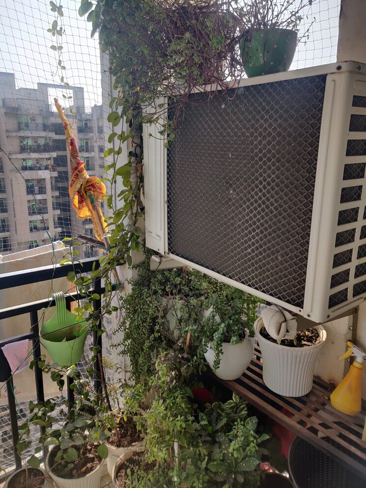 Exterior View, galaxy-north-avenue 2.5 Bedroom 1075 Sq.Ft. Apartment In Gaur City 1 Greater Noida 9659498