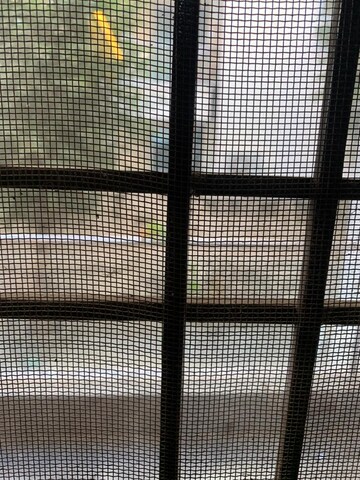 Room in 3 BHK Apartment at Ansal API Esencia, Sector 67 – for Rent