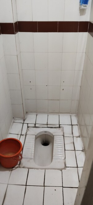 Bathroom in 1 BHK Apartment at Erandavane CHS, Erandwane – for Rent