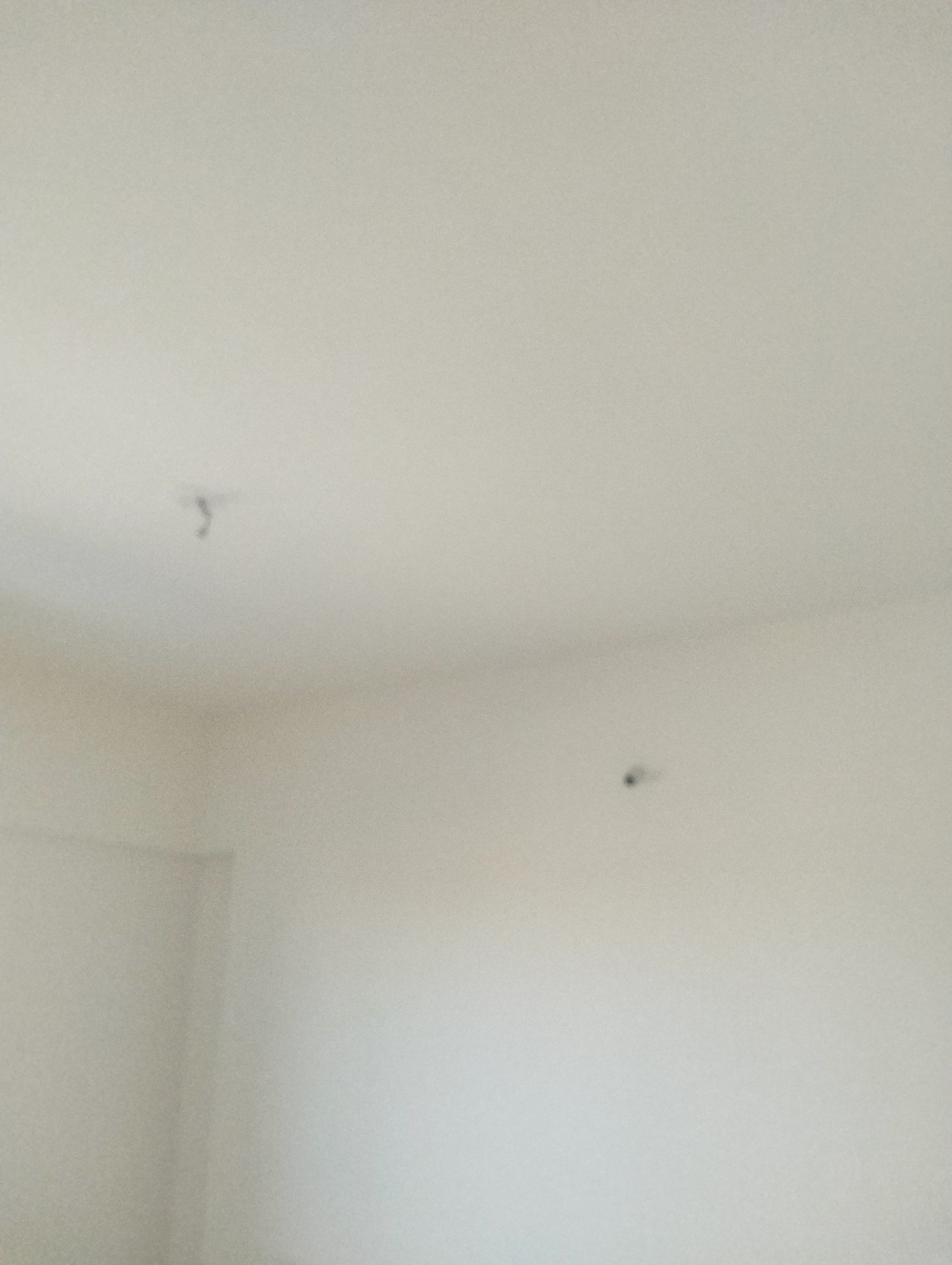 4 BHK Apartment For Rent in Lushlife Ovo