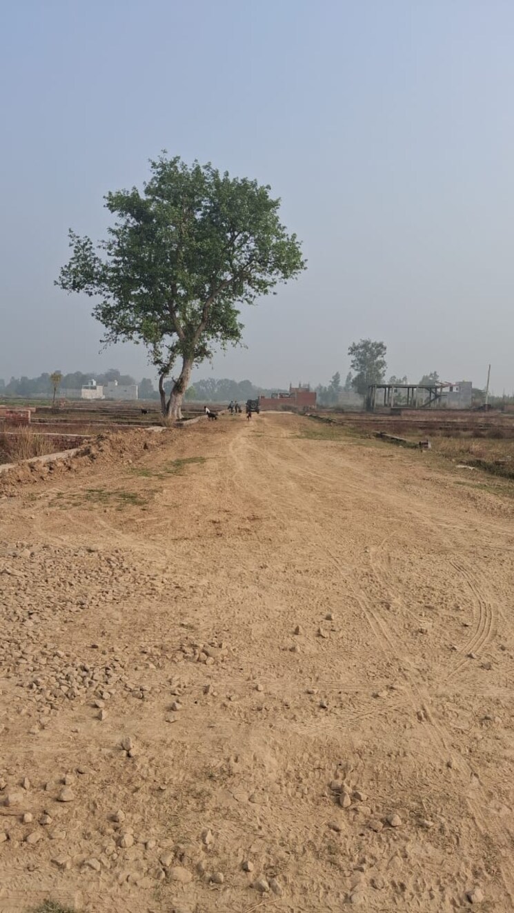 undefined, sultanpur road  600 Sq.Ft. Plot In Sultanpur Road Lucknow 9660889