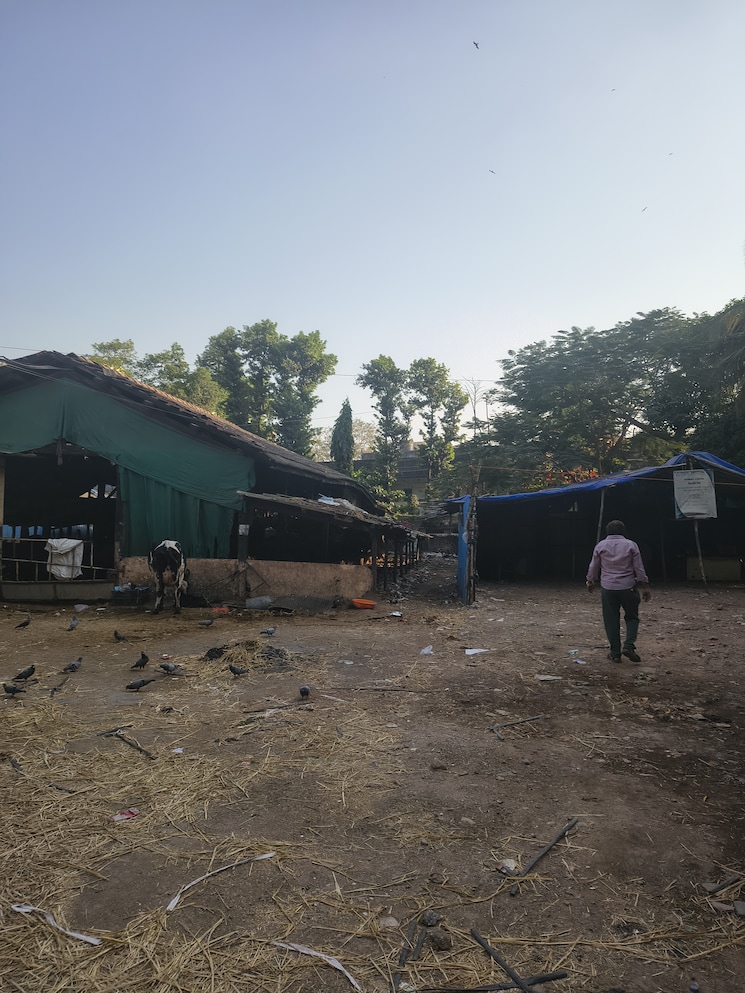 Exterior View, chembur Commercial Industrial Plot 2000 Sq.Yd. In Chembur Mumbai 9661029