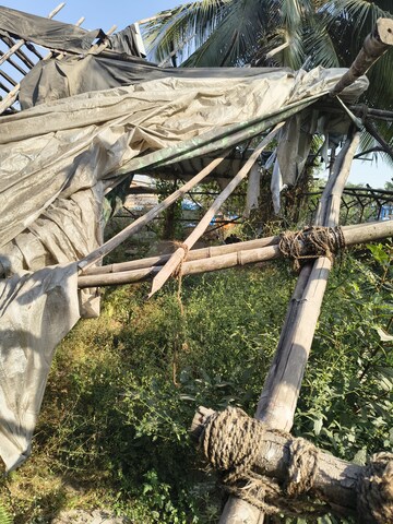  Industrial Plot – Exterior View View at Mahul - for Rent