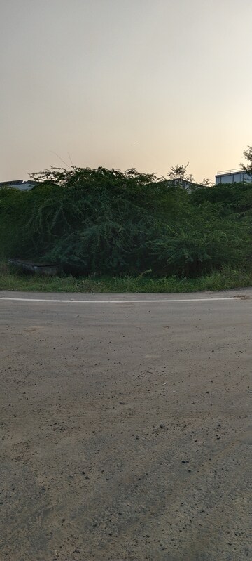  Industrial Plot For Sale in Sanand