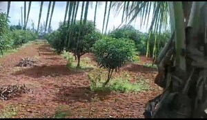 Plot Area in  Land at Alwal – for Sale