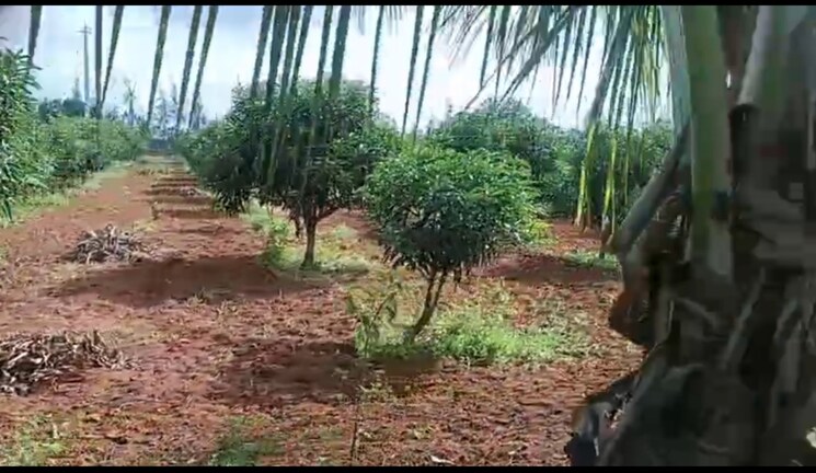 undefined, alwal Commercial Land 25 Acre In Alwal Hyderabad 9661201