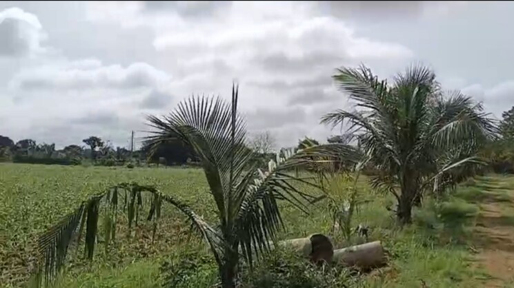 Exterior View, alwal Commercial Land 25 Acre In Alwal Hyderabad 9661201