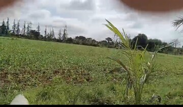 Plot Area in  Land at Alwal – for Sale