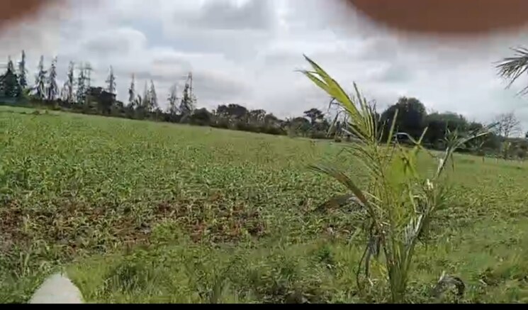 undefined, alwal Commercial Land 25 Acre In Alwal Hyderabad 9661201