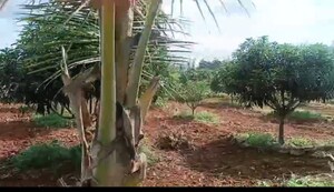  Land – Exterior View View at Alwal - for Sale