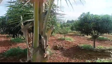  Land – Exterior View View at Alwal - for Sale