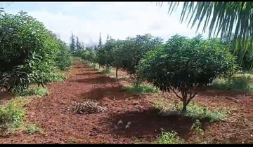 Plot Area in  Land at Alwal – for Sale