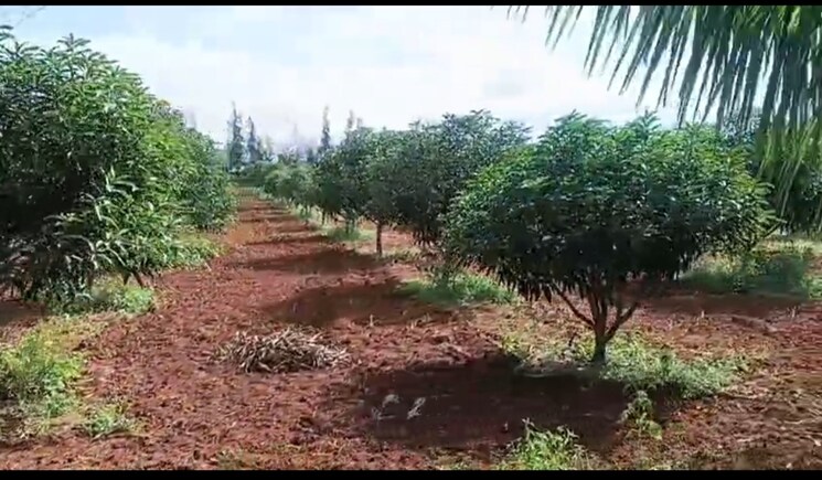 undefined, alwal Commercial Land 25 Acre In Alwal Hyderabad 9661201