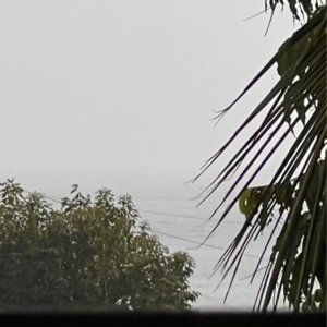 2 BHK Apartment – Exterior View View at Versova - for Rent