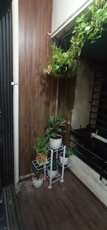 1 BHK Apartment For Rent in Poonam Pallazo, Morya Nagar