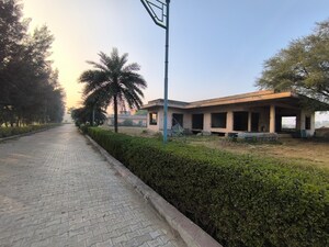  Plot For Sale in Pataudi