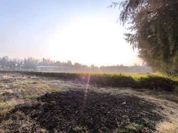 Plot Area in  Plot at Pataudi – for Sale