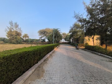 Plot Area in  Plot at Pataudi – for Sale