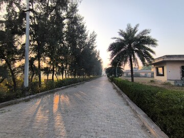  Plot – Exterior View View at Pataudi - for Sale