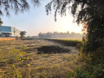 Plot Area in  Plot at Pataudi – for Sale