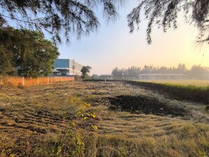 Plot Area in  Plot at Pataudi – for Sale