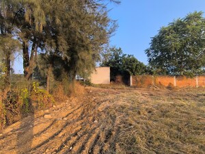 Plot Area in  Plot at Pataudi – for Sale