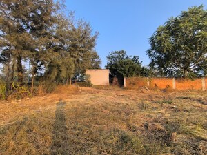 Plot Area in  Plot at Pataudi – for Sale