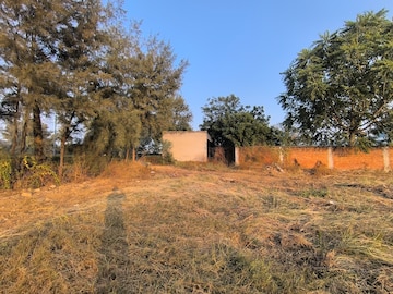 Plot Area in  Plot at Pataudi – for Sale