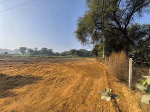 Plot Area in  Land at Pataudi – for Sale