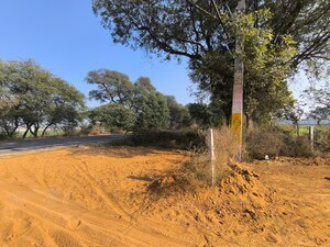 Plot Area in  Land at Pataudi – for Sale