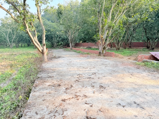 Plot For Sale in Badripur