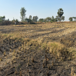 Plot Area in  Plot at Sangareddy – for Sale